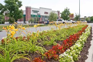 Commercial Landscape Management at Winchester Gateway Shopping Center in Winchester, VA