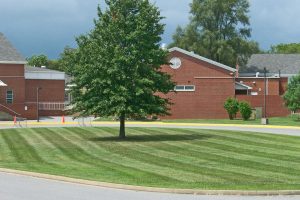 Government Facility Grounds Maintenance at Clarke County Public Schools in Berryville, VA