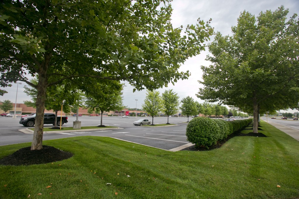 Commercial Landscape Management - Rutherford Crossing Shopping Center ...