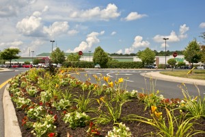 Shopping Center Grounds Maintenance in Winchester, VA