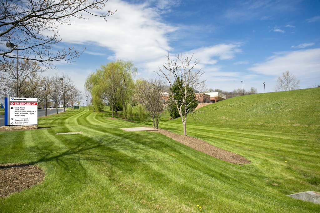 Commercial Landscaping at Valley Health Systems in ...