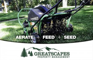 Fall Aeration and Fertilization Package